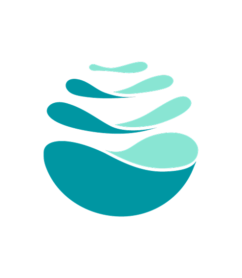 Image du logo Team For The Planet